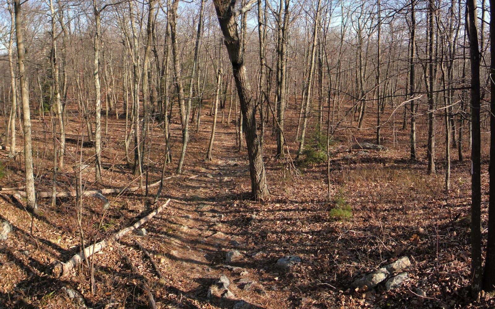 Appalachian Trail landscape certificate route preview in United States