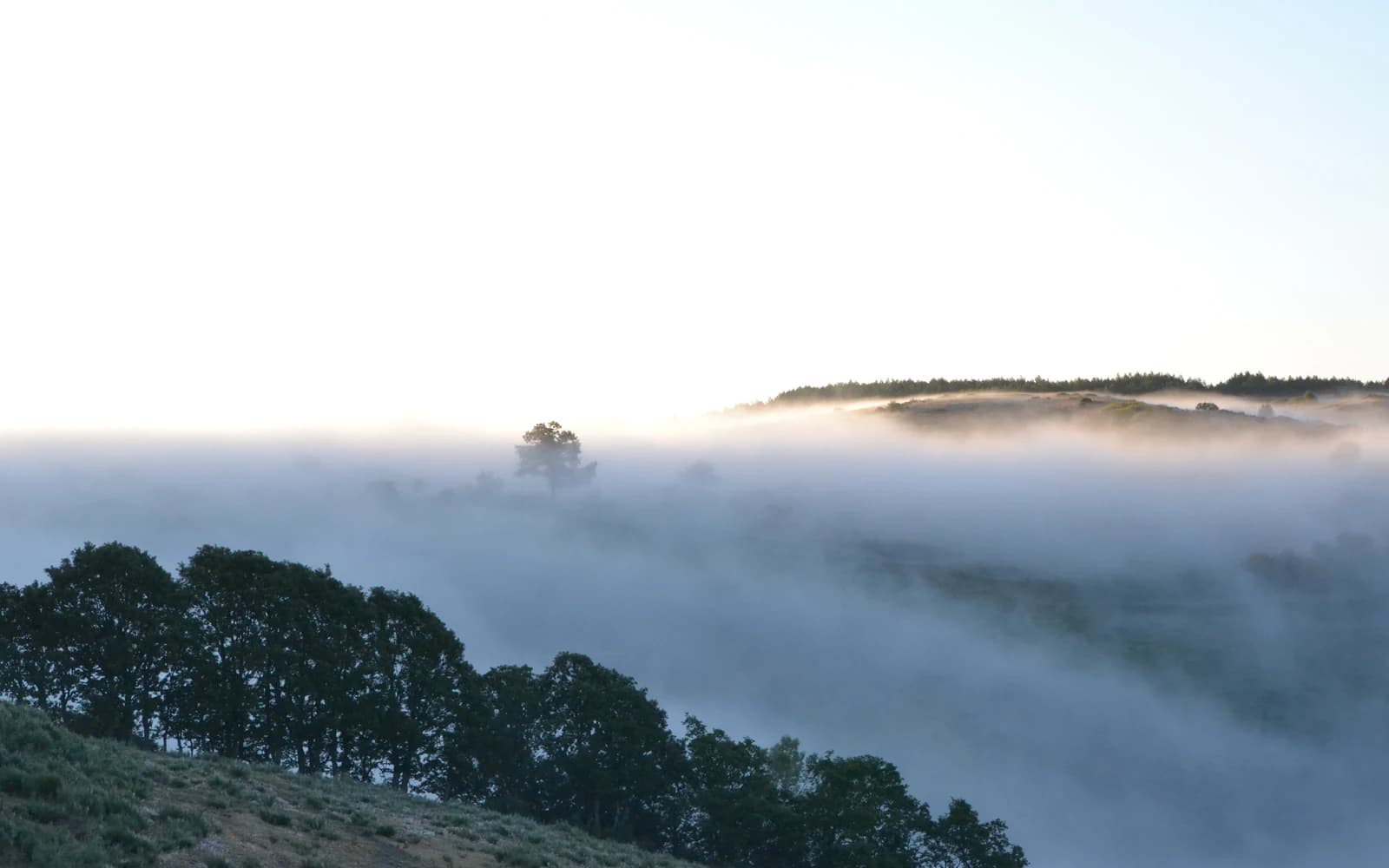 Camino Francés landscape certificate route preview in Spain and France