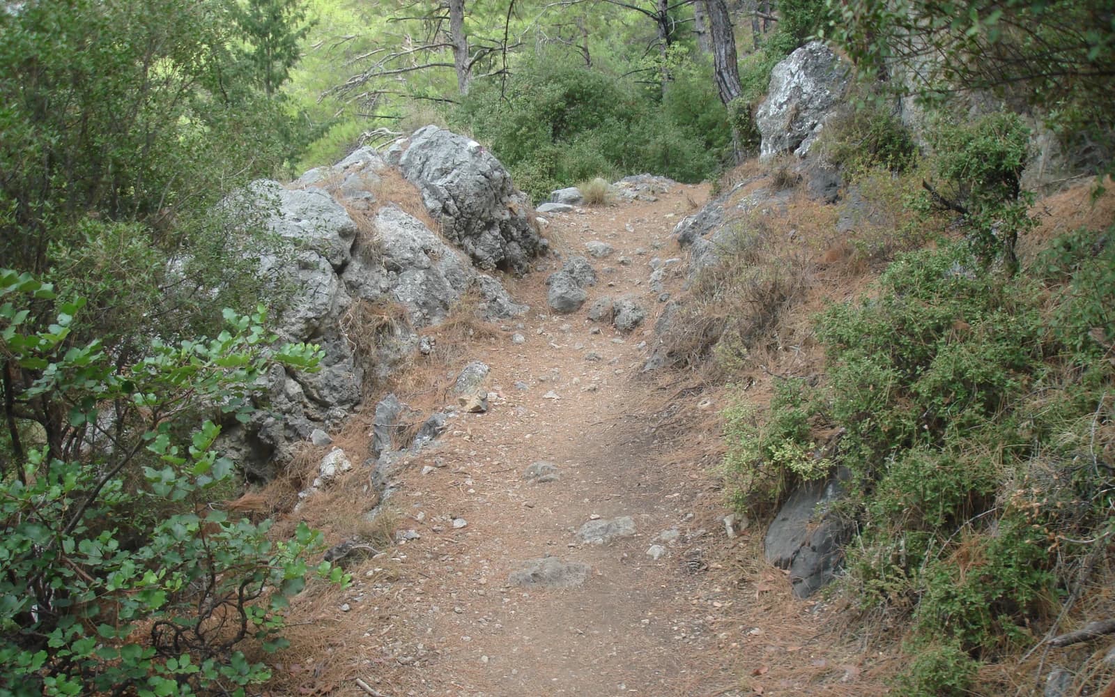 Lycian Way landscape certificate route preview in Turkey