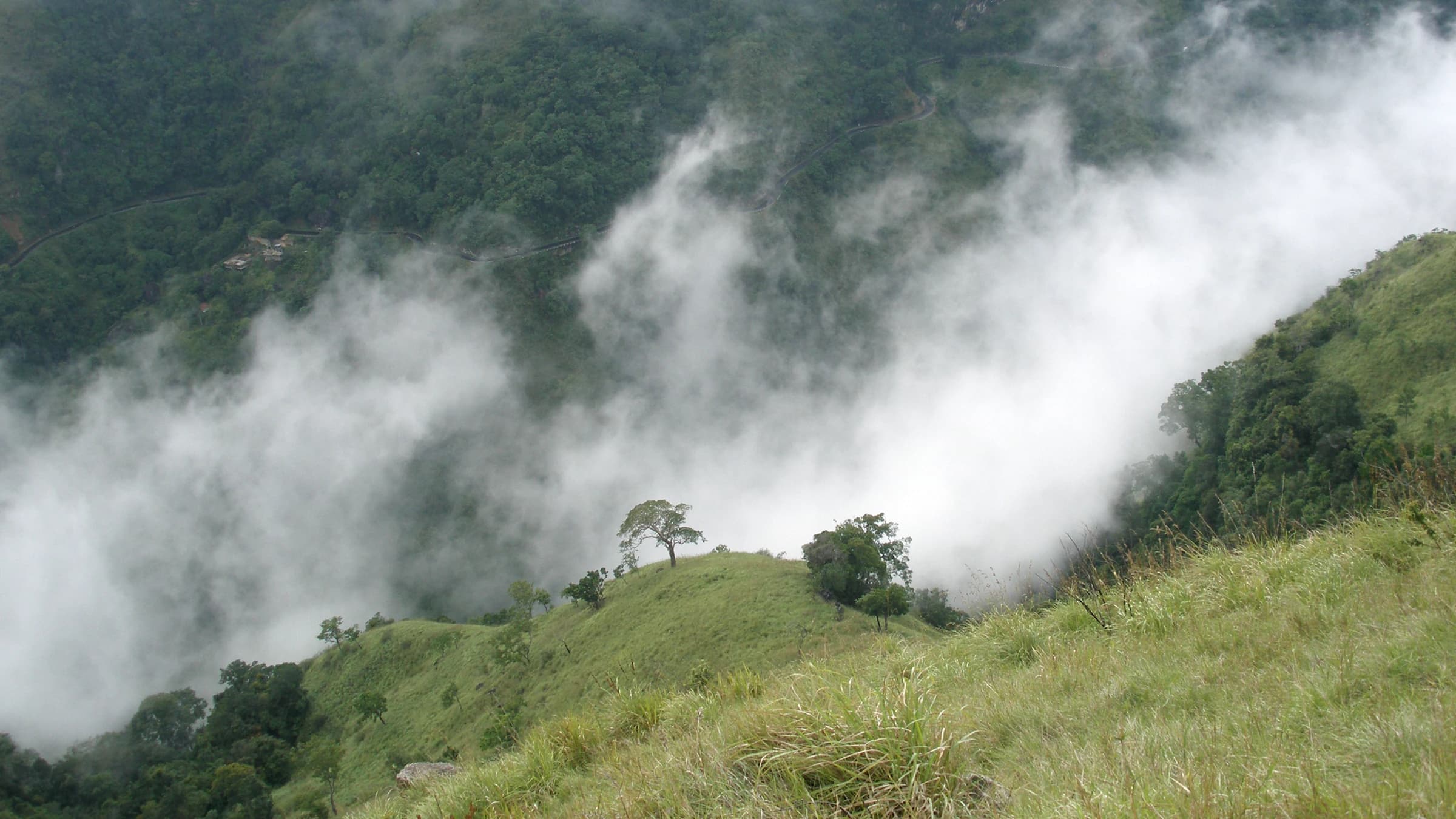 Misty walking trail through Sri Lankan tea country